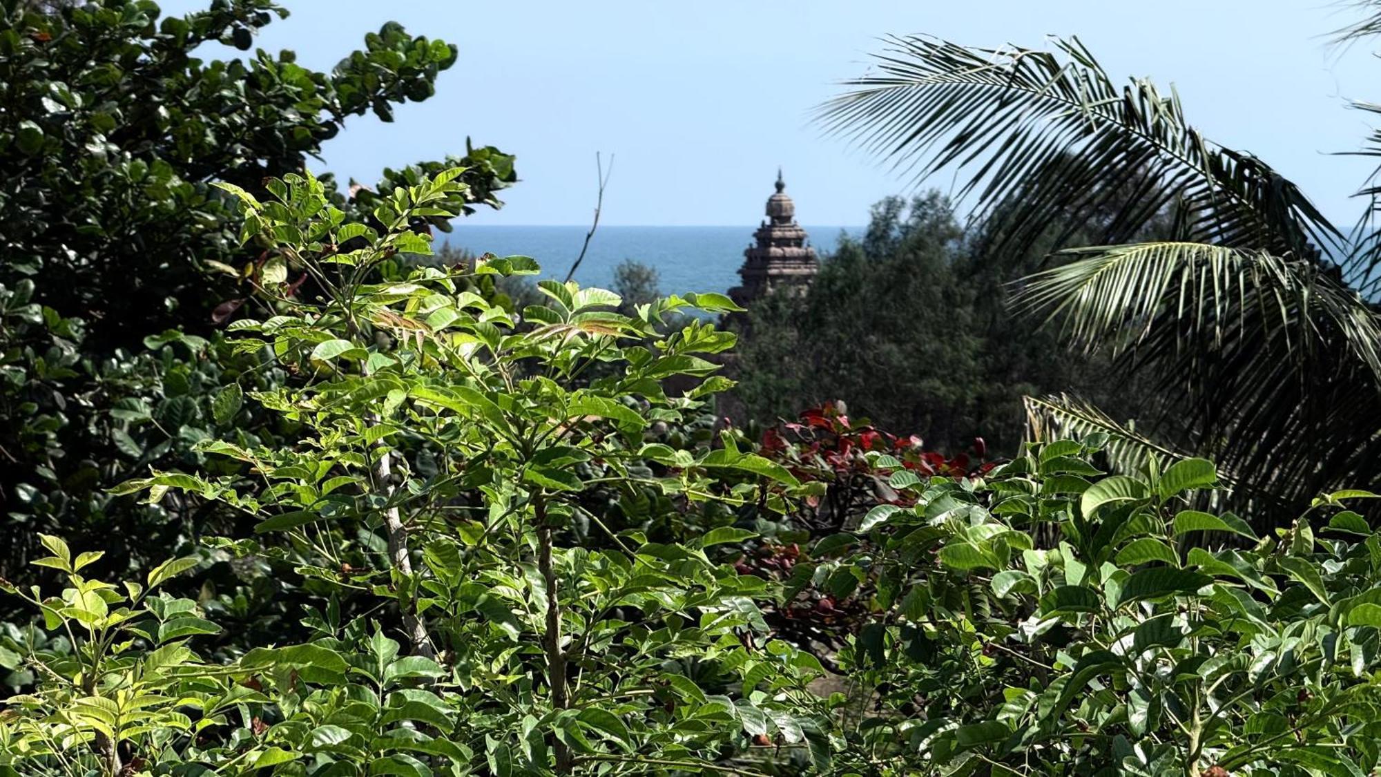 Sri Murugan Beach Paradise Hotel Mahabalipuram Ngoại thất bức ảnh
